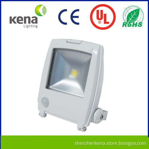 High Quality Meanwell LED Flood Lamp with Low Price, USA Bridgelux LED, 5 Years Warranty
